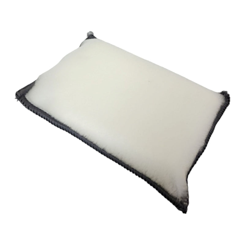 Detailer's Choice Interior Scrubber Cleaning Sponge Sponge Golden State Trading, Inc. Single 